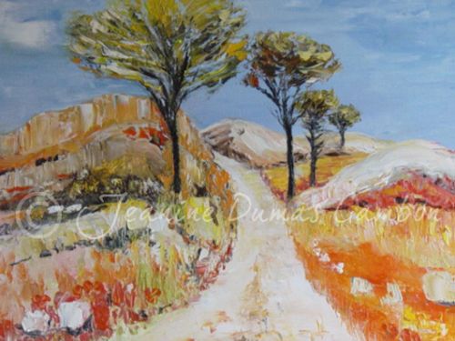 Terre brulée en Alpilles